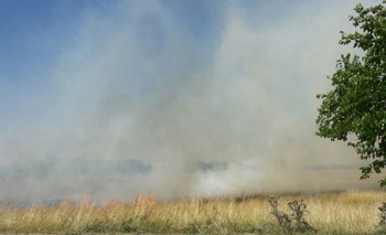 Imagen de la nota: Otra jornada de intenso trabajo para Bomberos