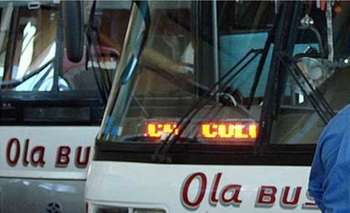 Paro de UTA no afecta al transporte en Olavarría Imagen de la nota: Paro de UTA no afecta al transporte en Olavarría