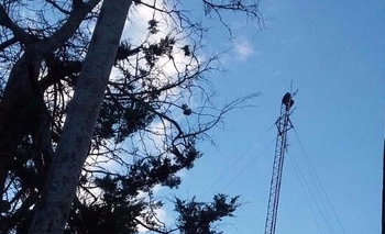 Imagen de la nota: Alvear: un preso se subió a una antena y no quiere bajarse 
