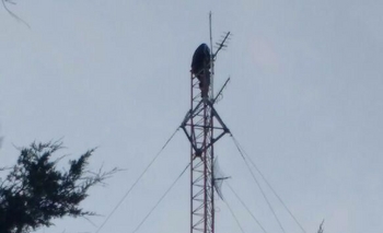Imagen de la nota: Tras casi un día de motín, el preso se bajó de la torre 