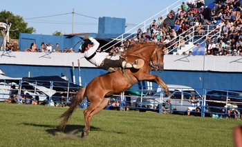 Imagen de la nota: La Doma dio inicio a un sábado a puro Festival 