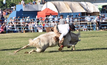 Imagen de la nota: Líbano: suspendieron la Doma por suba de contagios