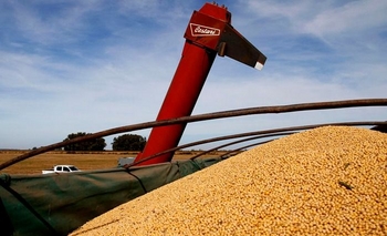 Imagen de la nota: Simplifican exigencias a productores y operadores de granos  