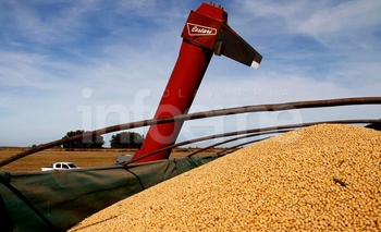 Imagen de la nota: Simplifican exigencias a productores y operadores de granos  