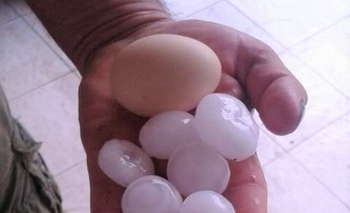 Imagen de la nota: Granizo gigante en Recalde