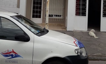 Detectan remiserías y choferes con habilitación vencida Imagen de la nota: Detectan remiserías y choferes con habilitación vencida