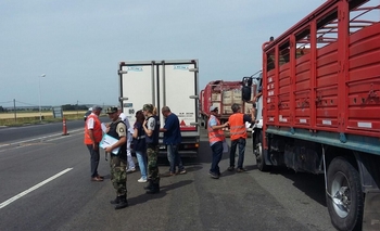 Imagen de la nota: Controles de Senasa: decomisan 600 kilos de carne