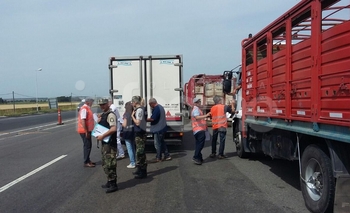Imagen de la nota: Controles de Senasa: decomisan 600 kilos de carne