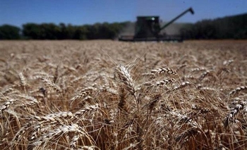 Federación Agraria marcó su preocupación por el clima seco Imagen de la nota: Federación Agraria marcó su preocupación por el clima seco