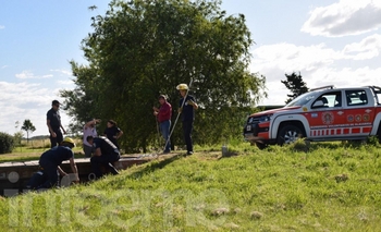 Susto por la aparición de un lagarto overo en una casa Imagen de la nota: Susto por la aparición de un lagarto overo en una casa