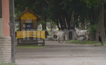 Imagen de la nota: Este fin de semana reabrió el Bioparque Municipal “La Máxima”