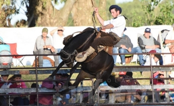 Imagen de la nota: Comenzó la doma en el Festival