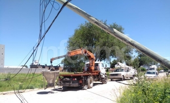 Imagen de la nota: Enganchó cables, tiró postes y dejó a un sector sin luz
