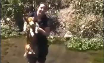 Imagen de la nota: Emotivo rescate de un perro