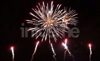 “Más luces, menos ruido”: la campaña anti pirotecnia Imagen de la nota: “Más luces, menos ruido”: la campaña anti pirotecnia