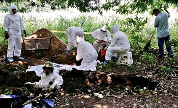 Imagen de la nota: Equipo Argentino de Antropología Forense retomó sus tareas