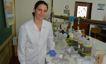 Ingeniería participa de un estudio sobre cemento ecológico Imagen de la nota: Ingeniería participa de un estudio sobre cemento ecológico