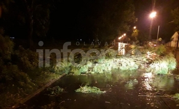 Imagen de la nota: La tormenta también afectó el suministro de luz