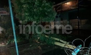 Imagen de la nota: Restituyeron parcialmente el suministro eléctrico