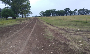 Imagen de la nota: Vecinos indignados por los robos y el mal estado de los zanjones