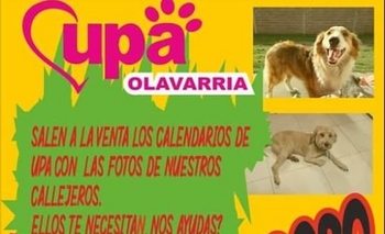 Imagen de la nota: Proteccionistas venden almanaques y calcos para ayudar a callejeros