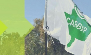 Imagen de la nota: Inmobiliario: Carbap disconforme con Juntos por el Cambio