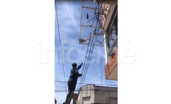 Imagen de la nota: VIDEO: Bomberos rescataron a una gallina mascota 