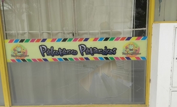 Vandalismo: “es el 10º vidrio roto en lo que va del año” Imagen de la nota: Vandalismo: “es el 10º vidrio roto en lo que va del año”
