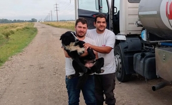 Imagen de la nota: Encontraron a 