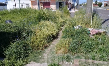 La postal del abandono: un baldío convertido en basural  Imagen de la nota: La postal del abandono: un baldío convertido en basural