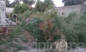 Pastizales, basura y roedores en el barrio Coronel Dorrego Imagen de la nota: Pastizales, basura y roedores en el barrio Coronel Dorrego