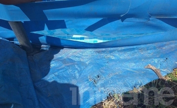 Vandalismo en Santa Luisa: le rompieron la pileta  Imagen de la nota: Vandalismo en Santa Luisa: le rompieron la pileta