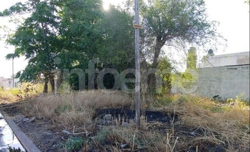 Imagen de la nota: Continúan los reclamos por terrenos baldíos