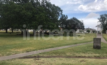 Imagen de la nota: Alerta: se esperan vientos de 90 kilómetros por hora