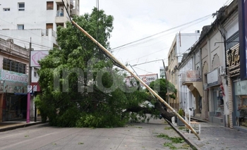 Imagen de la nota: Cesó el alerta en Olavarría: los números que dejó el temporal