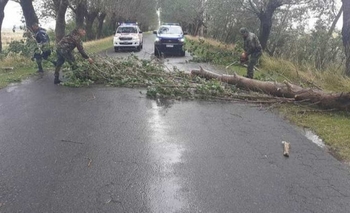 Imagen de la nota: El temporal también provocó daños en Laprida