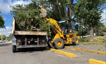 Imagen de la nota: Temporal: siguen los trabajos de recolección de ramas