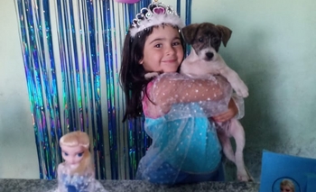 Video: el pedido desconsolado de una nena que perdió a su perrito Imagen de la nota: Video: el pedido desconsolado de una nena que perdió a su perrito