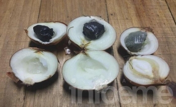 Imagen de la nota: Los insólitos métodos para meter droga en la cárcel