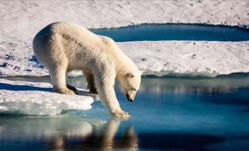 Imagen de la nota: Se registró una temperatura superior a los 38 grados