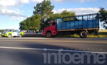 Imagen de la nota: Aprehendido por transportar animales sin documentación