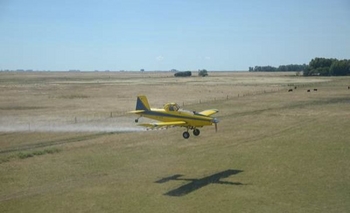 Imagen de la nota: Se reanudó la pulverización contra la Tucura