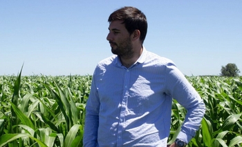 Imagen de la nota: “La decisión del gobernador es potenciar la actividad forestal”