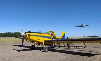 Imagen de la nota: Tucura: finalizó la campaña de pulverización en Olavarría