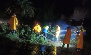 Imagen de la nota: “Todo el aparato estatal” trabaja después de la terrible tormenta