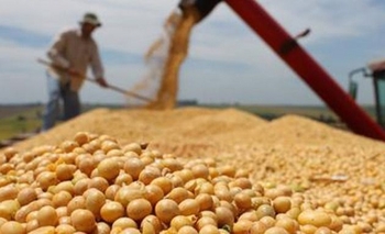 Imagen de la nota: El Gobierno inició el pago de compensaciones a productores