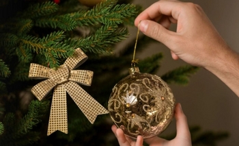 Imagen de la nota: Los precios para armar el arbolito de Navidad 