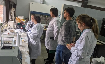 Imagen de la nota: Trabajan para convertir las colillas en materia prima