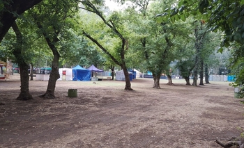 Imagen de la nota: Mercado de Sabores: trabajan para que la feria continúe