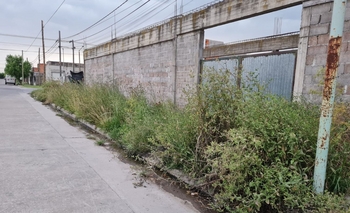 Denuncian el “mal estado” de un galpón del CFP Imagen de la nota: Denuncian el “mal estado” de un galpón del CFP